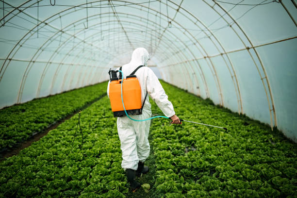 Best Affordable Pest Control Services  in Choctaw Lake, OH