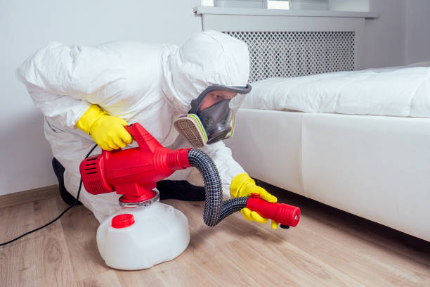Best Cockroach Control Services  in Choctaw Lake, OH