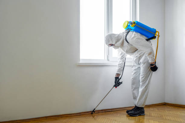 Best Pest Control Near Me in Choctaw Lake, OH