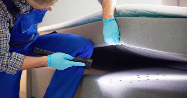 Best Pest Inspection Near Me  in Choctaw Lake, OH
