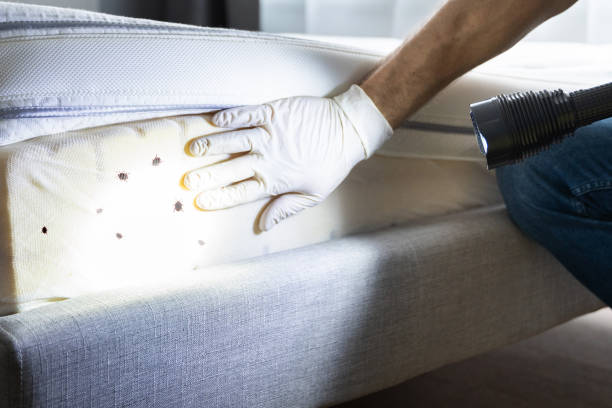 Best Best Pest Control Near Me  in Choctaw Lake, OH