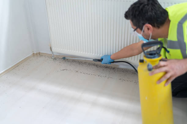 Best Ant Control Services  in Choctaw Lake, OH