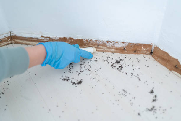  Choctaw Lake, OH Pest Control Pros