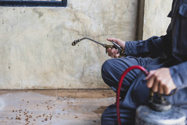 Best Pest Removal Services  in Choctaw Lake, OH